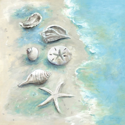 Picture of BEACH SHELLS I