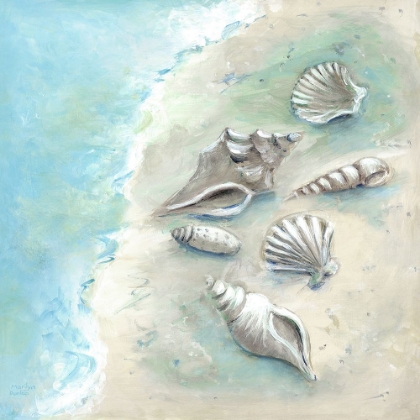 Picture of BEACH SHELLS II