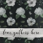 Picture of LOVE GATHERS