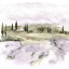 Picture of ELEGANT LAVENDER IV