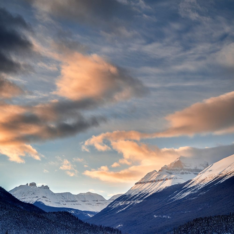 Picture of INDIGO SUNSET