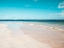 Picture of SUGAR SAND