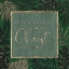 Picture of CHRIST STRENGTHENS
