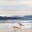 Picture of BEACHCOMBING II