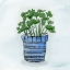 Picture of POST OF HERBS I