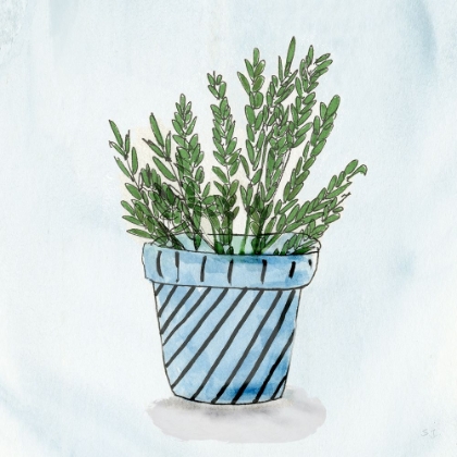 Picture of POT OF HERBS II