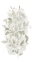 Picture of LEAFY BRANCH I