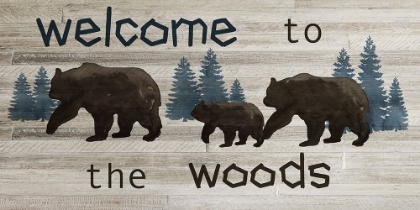 Picture of BEARS WELCOME