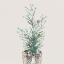 Picture of CHRISTMAS FIR II