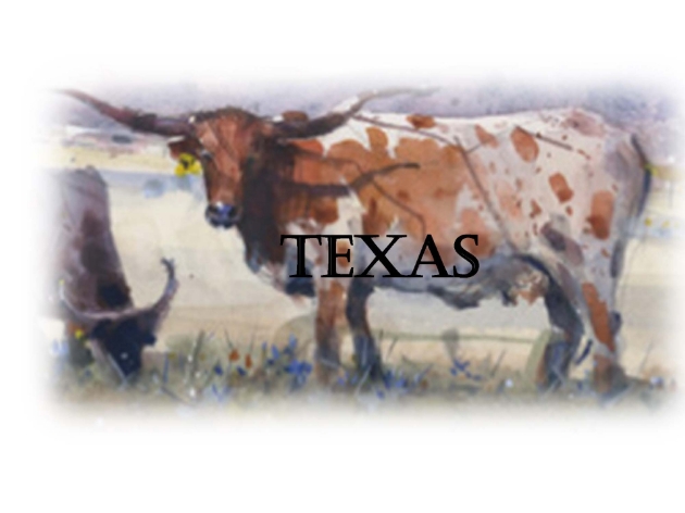 Picture for category TEXAS