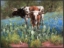 Picture of T For Texas by Jack Sorenson