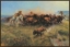 Picture of The Buffalo Hunt by Charles Russell