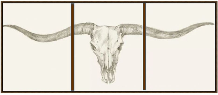 Picture of Western Skull Mount by Ethan Harper