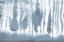 Picture of SHADED BLUES