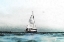 Picture of INTO THE WIND