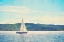 Picture of SAILING