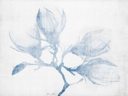 Picture of FLORAL STUDY