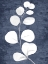 Picture of ON BLUE 1