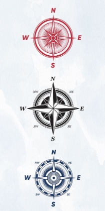 Picture of VINTAGE COMPASS 2
