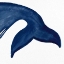Picture of WHALE 2