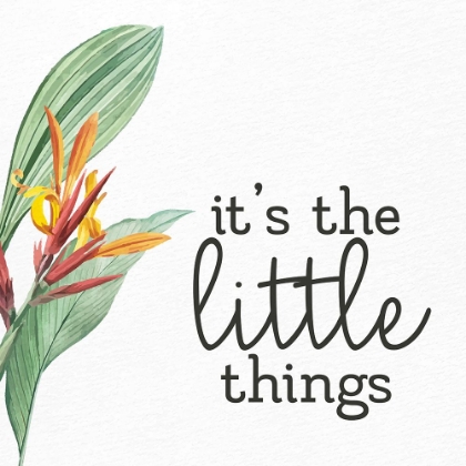 Picture of THE LITTLE THINGS