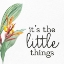 Picture of THE LITTLE THINGS