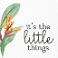 Picture of THE LITTLE THINGS