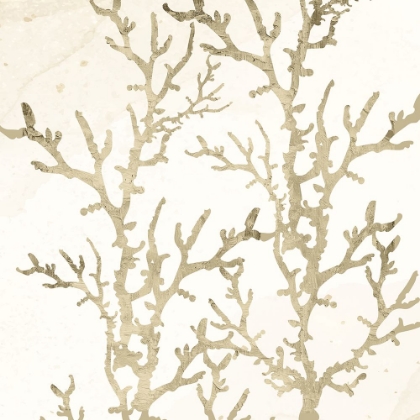 Picture of SAND CORAL 1