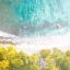 Picture of TROPIC AERIAL 2