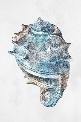 Picture of URBAN SEA SHELL 2