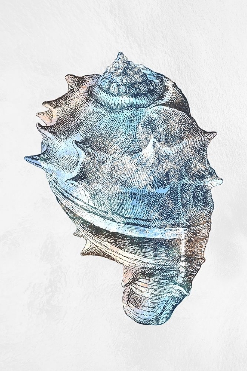 Picture of URBAN SEA SHELL 2