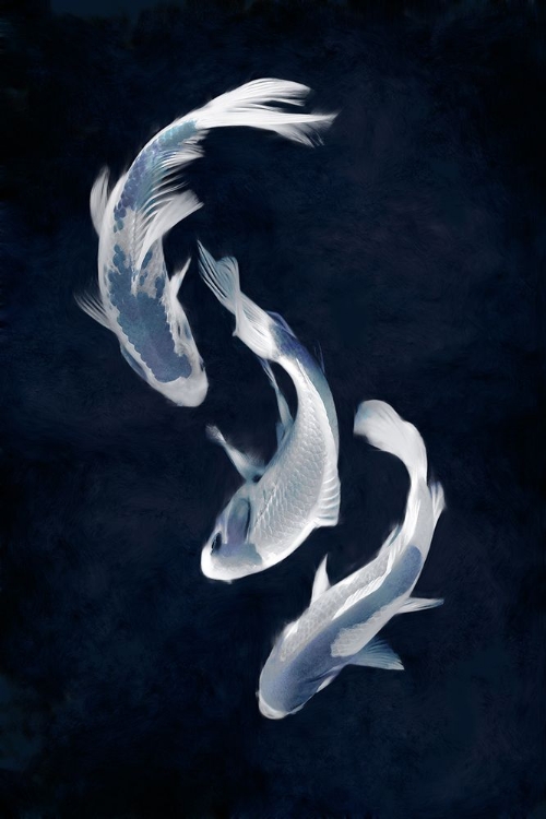 Picture of KOI I