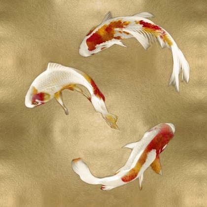 Picture of KOI ON GOLD I