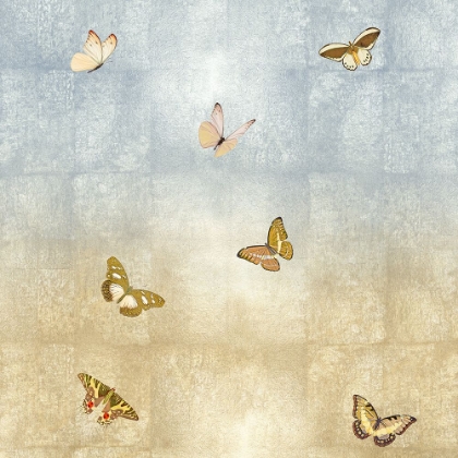 Picture of BUTTERFLIES I