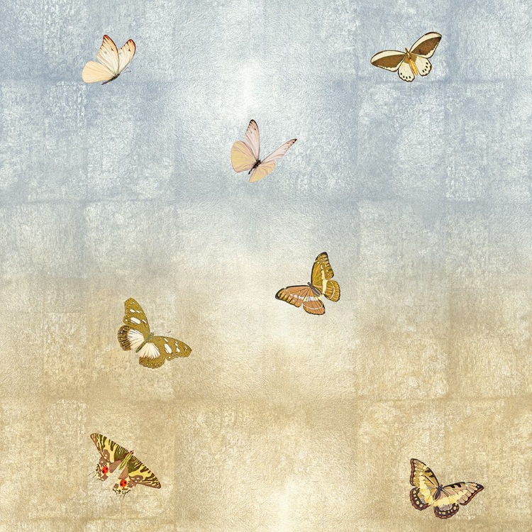 Picture of BUTTERFLIES I