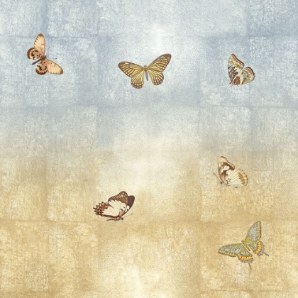 Picture of BUTTERFLIES II