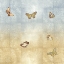 Picture of BUTTERFLIES II