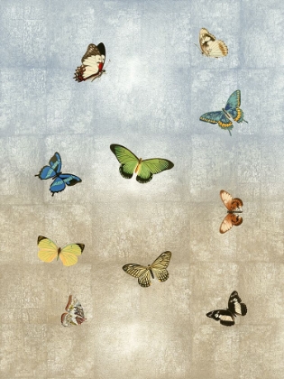 Picture of BUTTERFLIES MEET UP I