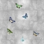 Picture of BUTTERFLIES ON SILVER I