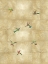 Picture of HUMMINGBIRDS ON GOLD IV