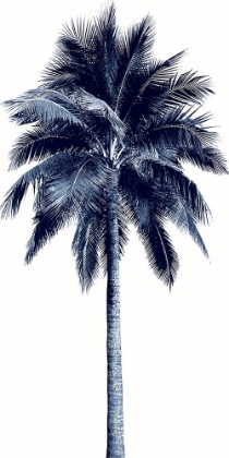 Picture of PALM TREE BLUE I