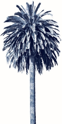 Picture of PALM TREE BLUE II