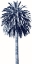 Picture of PALM TREE BLUE II