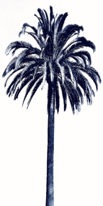 Picture of PALM TREE BLUE III