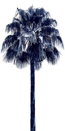 Picture of PALM TREE BLUE IV