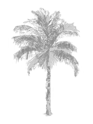 Picture of PALM GRAY II
