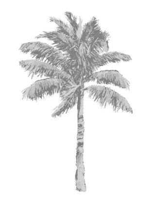 Picture of PALM GRAY I