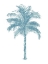 Picture of PALM AQUA II
