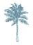 Picture of PALM AQUA I