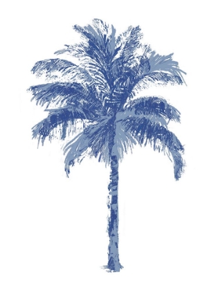 Picture of PALM BLUE II